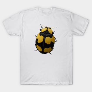 Ladybird T-Shirt